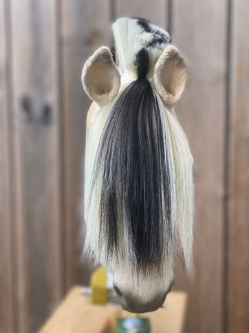 Front view of handmade realistic Fjord dressage hobby horse Sunniva
