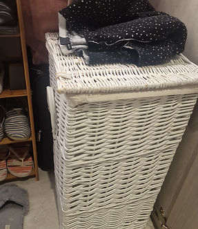 IMG-20240211-WA0057.jpeg