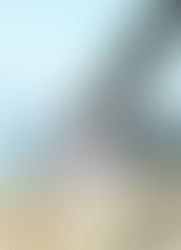 Дети Декабря & Елизавета III-я!