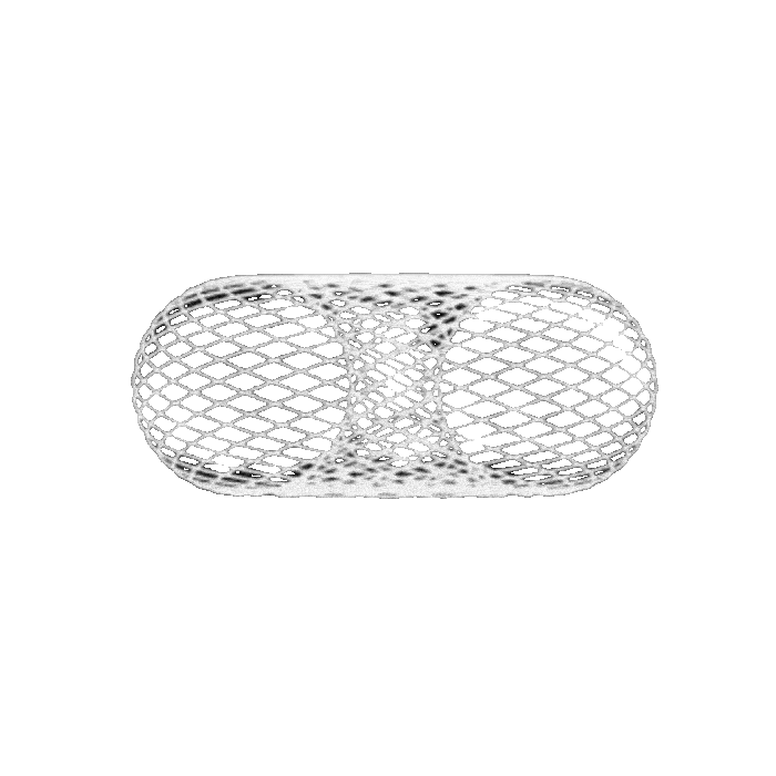 torus.gif