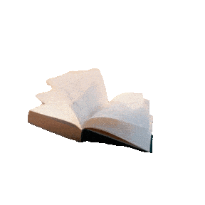 book in the wind.gif