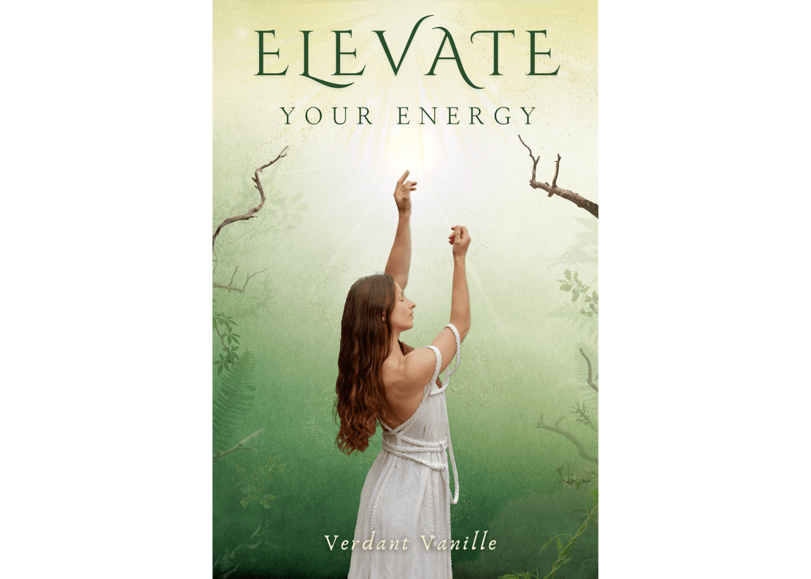 Elevate Your Energy