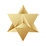 metatron star.png