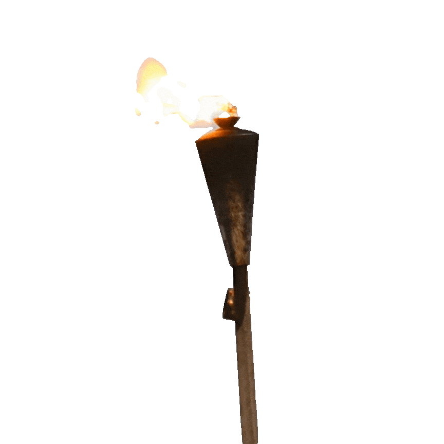 torch opti.gif