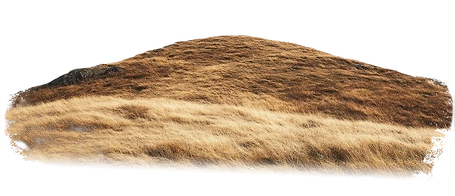 Download free png of Ground hill countryside grassland_ by Busbus about hill png mountains