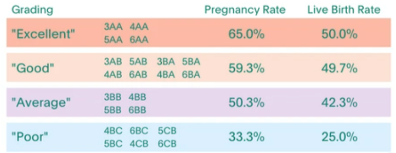 My Journey with IVF: Understanding 5AA and the Complexity of Hope