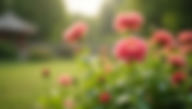 IVF Miscarriage Memorial Ideas: Honoring the Baby I Lost on Her First Birthday