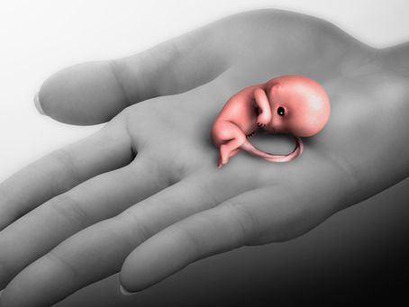 From Heartbeat to Heartache: A New Chapter Post-Miscarriage