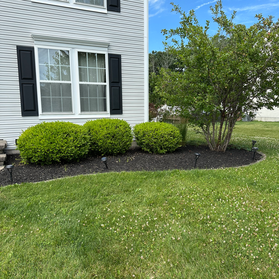 Lawn Kings project