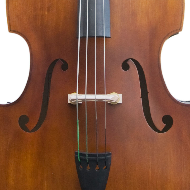 Thumbnail: CDB-100 Bass by Cecilio