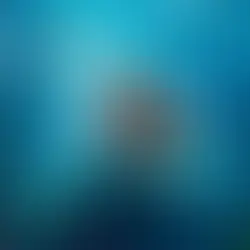 CONTROVERSY UNDER THE SEA THE LITTLE MERMAID LIVE ACTION