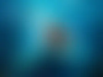 CONTROVERSY UNDER THE SEA THE LITTLE MERMAID LIVE ACTION