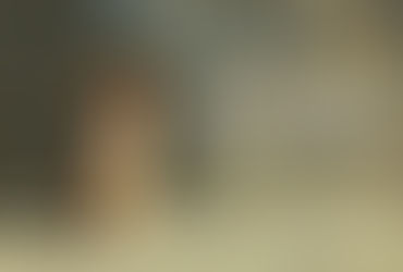 MYDOG! - a special project