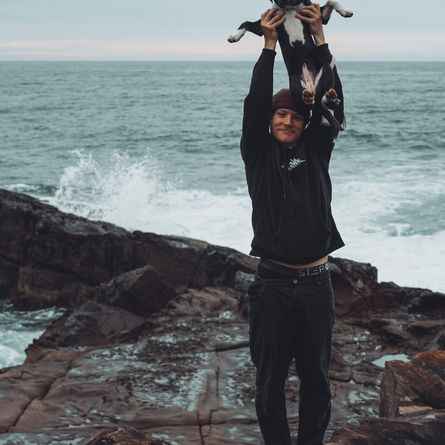 Van life dog travel tips!