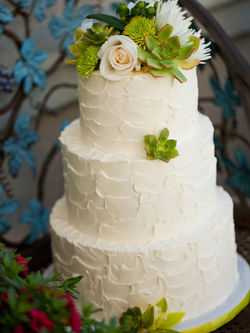 192237_10150133498022947_561607946_6899534_3477688_o