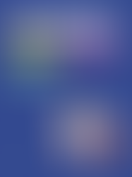 RWAMREC Annual Report 2025: Change You Can See Across Rwanda