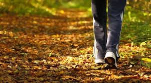 Fall Health Tips