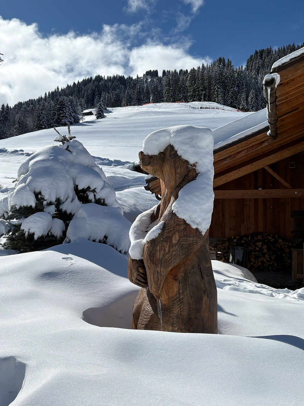Monsieur Ours sous la neige