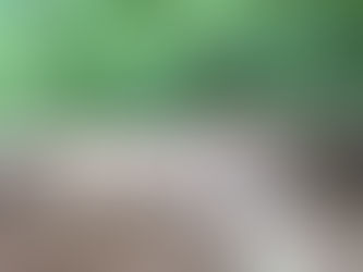 May 21, 2013 - Main Line Extension