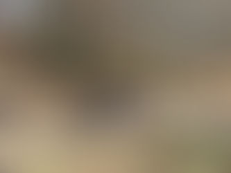 November 18, 2012 - Main Line Extention