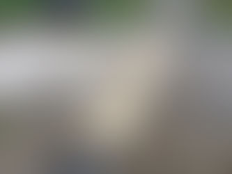 Mill Creek Central Spring Work Session