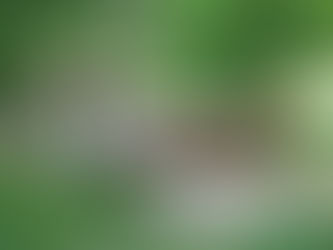 May 27, 2013 - Spring Meet