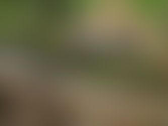 May 5, 2011 - Lower Loop