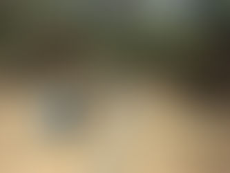 May 4, 2013 - Slideshow Problems