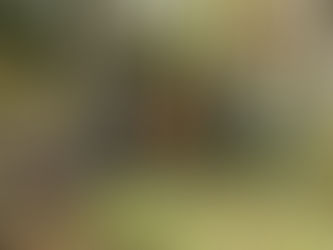 October 10, 2012 - Fall Colors