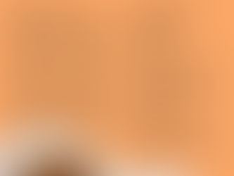 Double Page Spread Outline