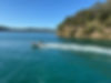 IMG_2797.jpeg