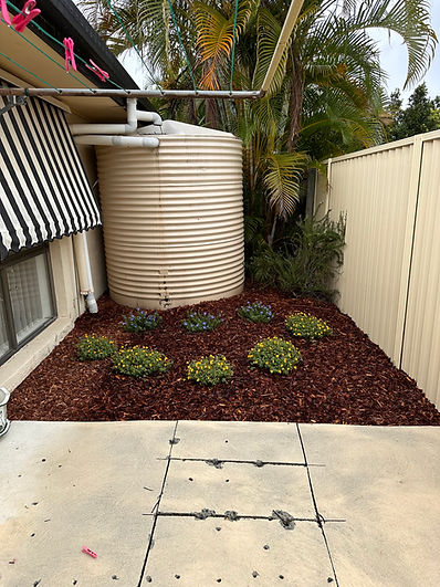 M tank AFTER planting.JPEG