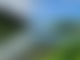 Shearwater Lake, Somerset Lavender and East Somerset Railway