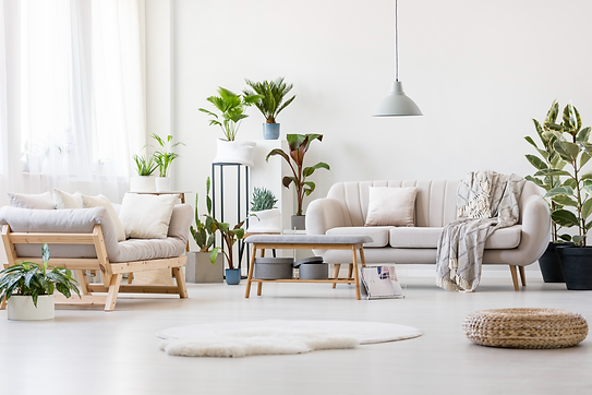 Spacious Living Room_edited.png