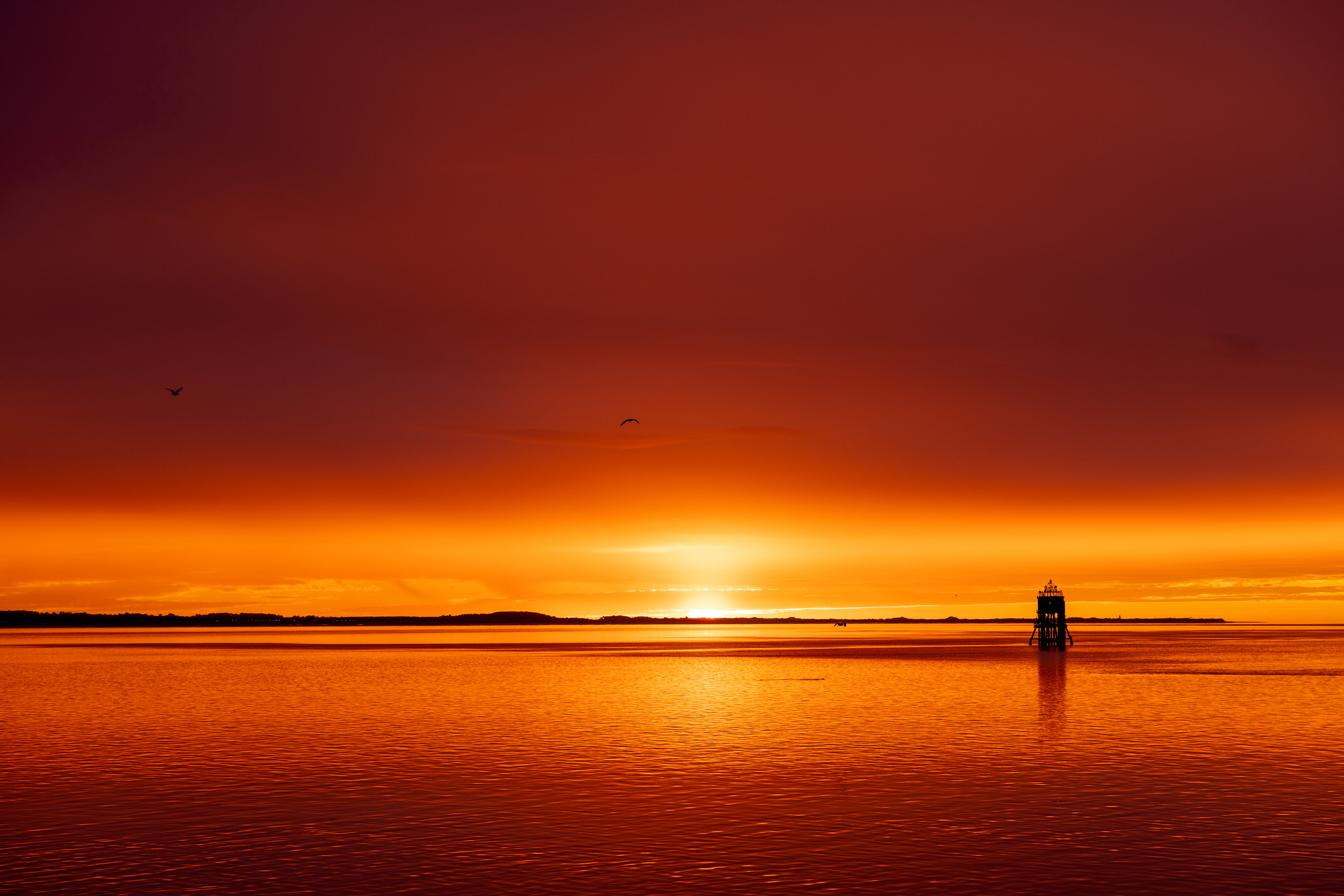 Stillness In Motion Photographers London