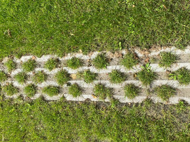 Foto rijsporen '21.HEIC