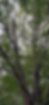 IMG_4770.PNG