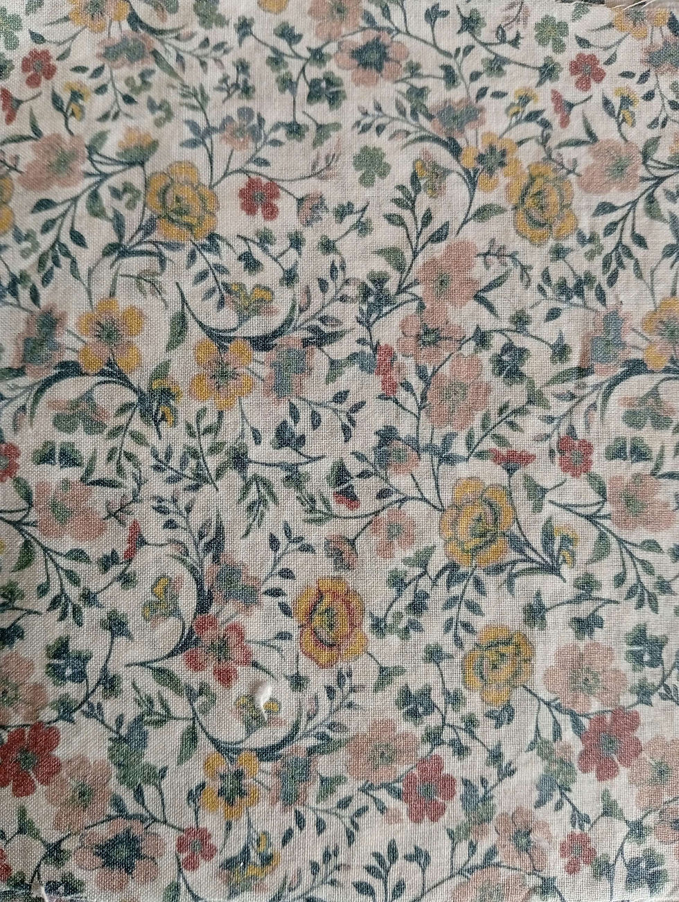 Miniature : 🎁 7 Cotons avec son emballage cadeau 🎁