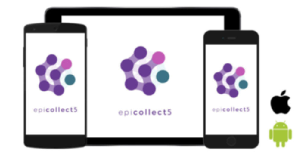 Epicollect5.jpg