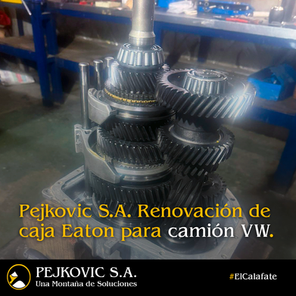Pejkovic S.A. Renovación de caja Eaton para camión VW