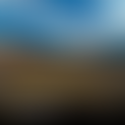 Desmalezamiento y nivelación de lote frente al Paseo Costero