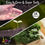 Thumbnail: Herb Growing Kit 3 Metal Plant Pots Windowsill Planter with British Herb Seeds