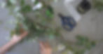 TKS_9525.webp