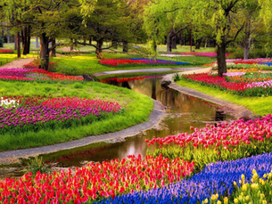 Vibrant flower garden with colorful tulips and hyacinths lining a winding stream. Tall trees and lush greenery create a serene setting.