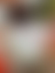 Puzzle Hunts vs. Escape Room in Singapore | Which is better for Team Development?