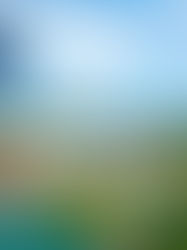 Travel Guide in Singapore: Sentosa Singapore Island & Harbourfront