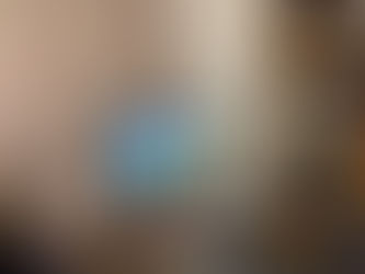 DIYとは言わないが(日中双語blog)