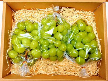 障がい者就労支援A型 株式会社なから 『就労して1週間...』