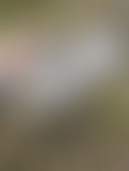 障がい者就労支援事業A型 株式会社なから 『風まかせ』