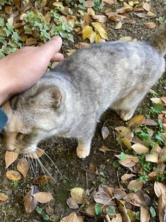 障がい者就労支援事業A型 株式会社なから 『風まかせ』